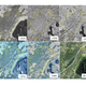 A 72-year aerial photo sequence shows forest cover within the Pando aspen clone in Utah. The yellow outlines the boundary of the clone.